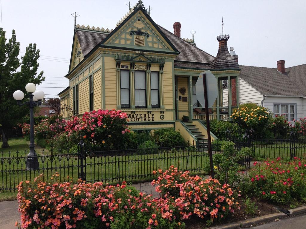 Waverly Cottage Medford Zewnętrze zdjęcie