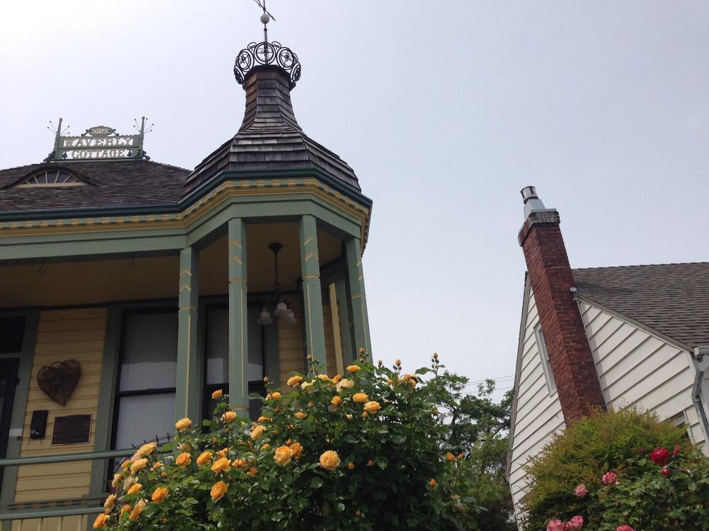 Waverly Cottage Medford Zewnętrze zdjęcie