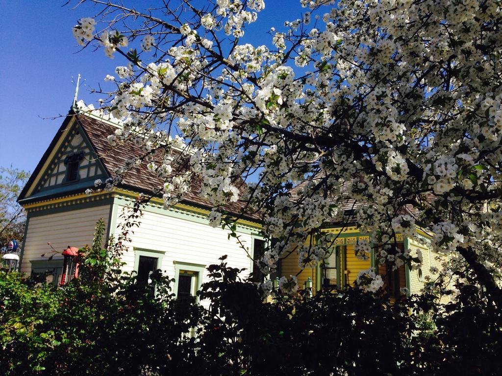 Waverly Cottage Medford Zewnętrze zdjęcie